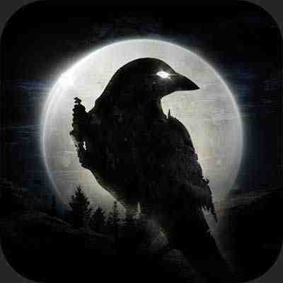 icon night-crows